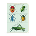 Cavallini Bugs & Insects Notebooks Set/3
