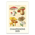 2025 Champignons Wall Calendar