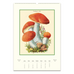 2025 Champignons Wall Calendar