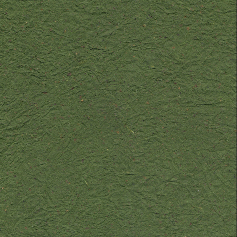 Chiri Kyoseishi Dark Green