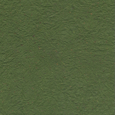 Chiri Kyoseishi Dark Green