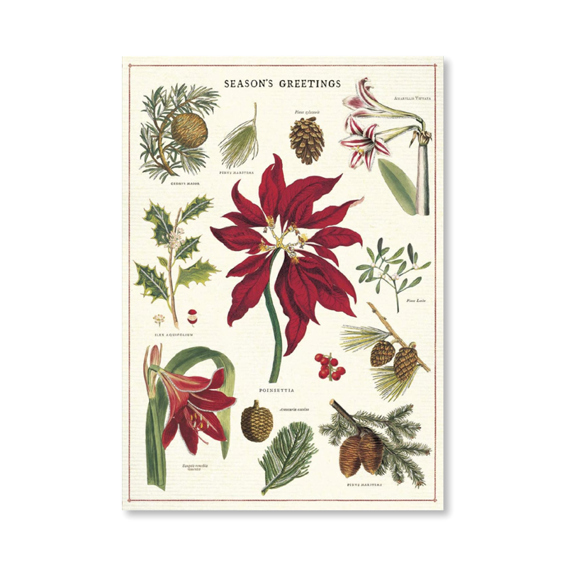 Christmas Botanica Single Card