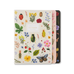 Rifle Paper Co. Curio Notebooks S/3