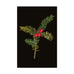 Mary Delany Winter Foliage Boxed Cards
