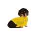 2025 Mini Dachshund Die Cut Calendar