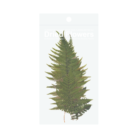 Dried Flowers Collage Stickers - Ferns