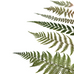 Dried Flowers Collage Stickers - Ferns