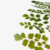 Dried Flowers Collage Stickers - Leaves