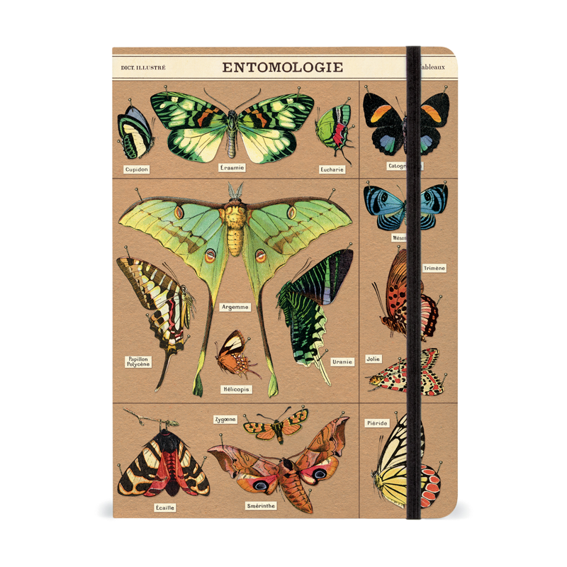 Entomology Notebook