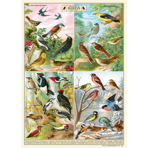 Field Guide To Birds Poster Wrap