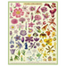 Flora Specimens Puzzle, 1000pc