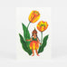 Flower Fairies Postcards - set of 12