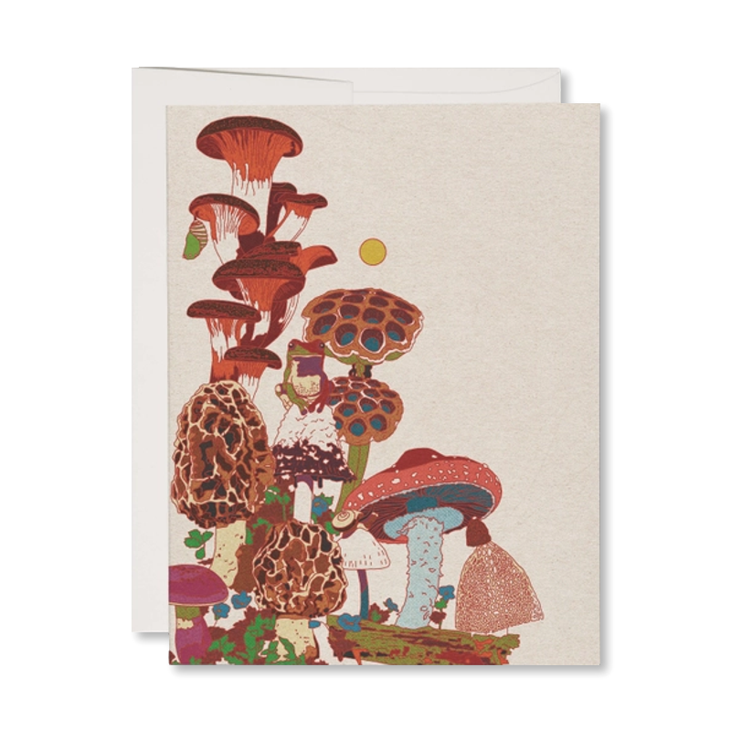 Frog & Fungi Single Card