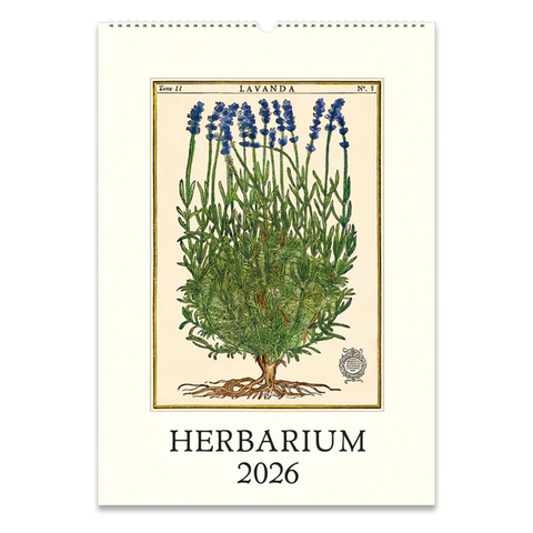 2026 Herbarium Wall Calendar