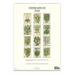 2026 Herbarium Wall Calendar
