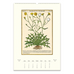 2026 Herbarium Wall Calendar