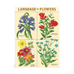 Language of Flowers Notebook Set/3