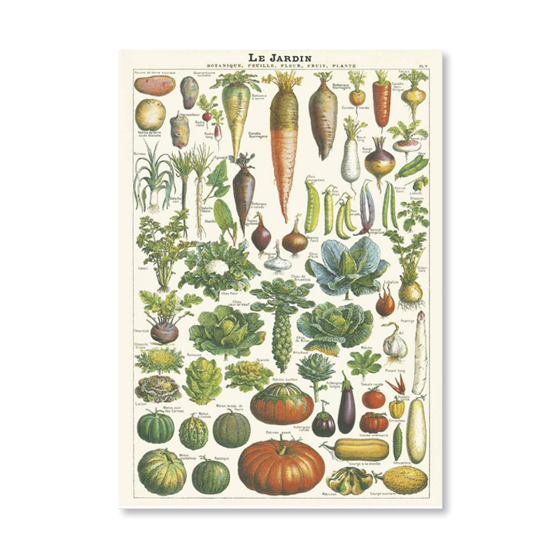 Le Jardin Single Card