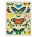 Butterflies Mini Puzzle, 240pc