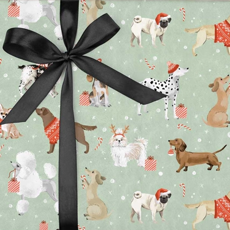 Mint Green Dog Gift Wrap Sheet