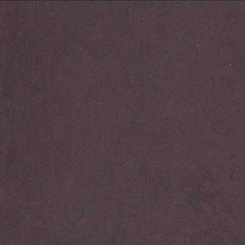 Moriki Kozo Plum