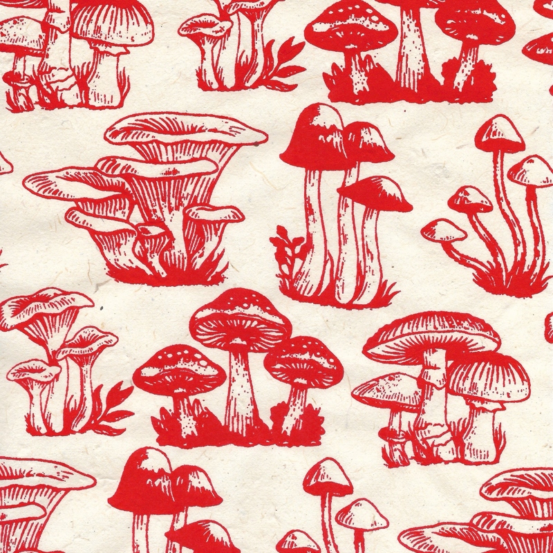 Mushrooms - Red on Cream