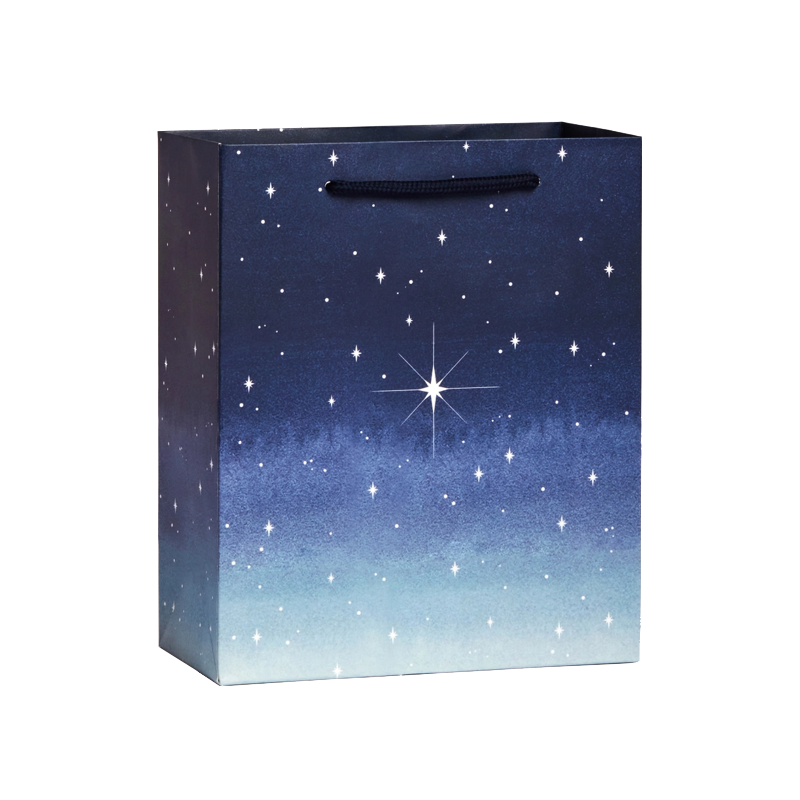 North Star Medium Gift Bag