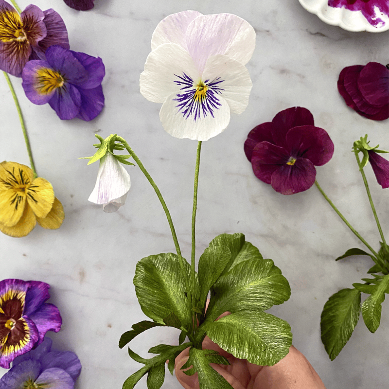 Crepe Paper Pansy Workshop with Jessie Chui