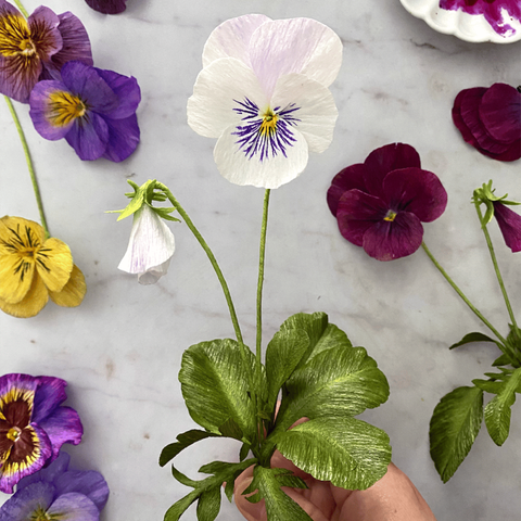 Crepe Paper Pansy Workshop with Jessie Chui