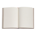 Foiled Flexi Journal