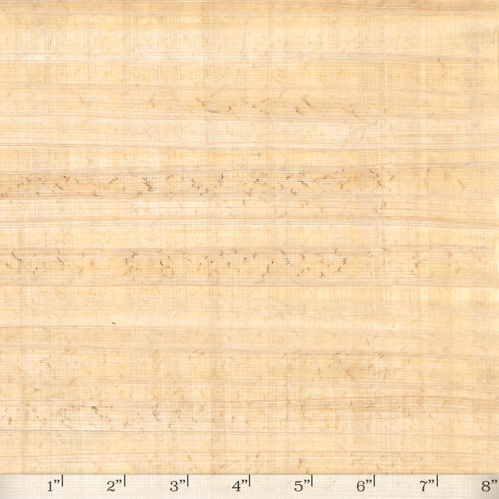 Light Papyrus Small