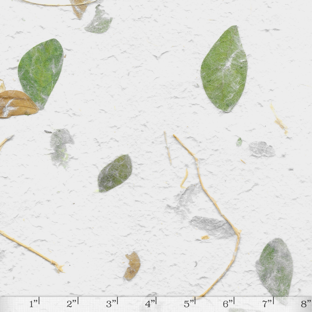 Garden - Raintree Leaves
