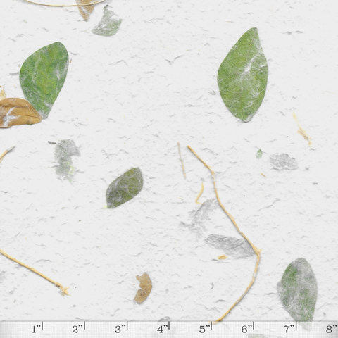 Garden - Raintree Leaves
