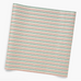 Rifle Paper Co. Ribbon Stripe Continuous Wrapping Roll