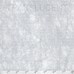 Silver Sheen