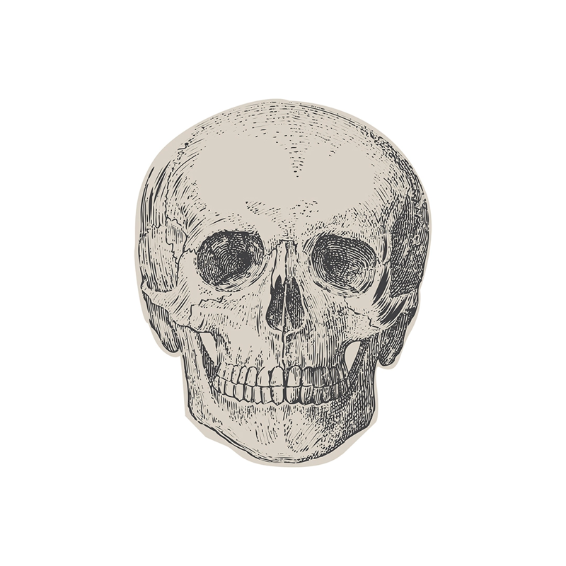 Skull Paper Napkins
