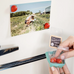 Fresh Strawberry Magnets