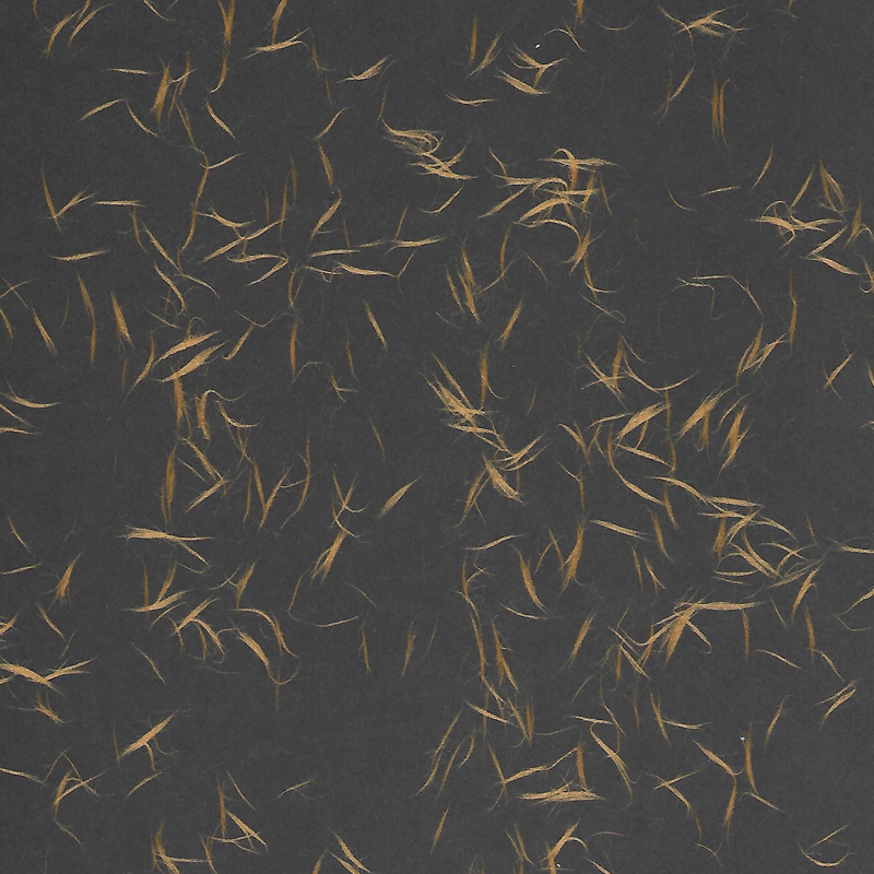 Tairei Black with Gold