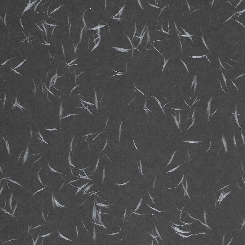 Tairei Black with Silver