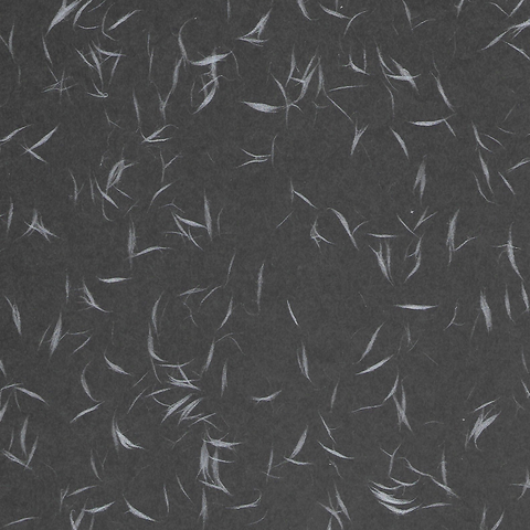 Tairei Black with Silver