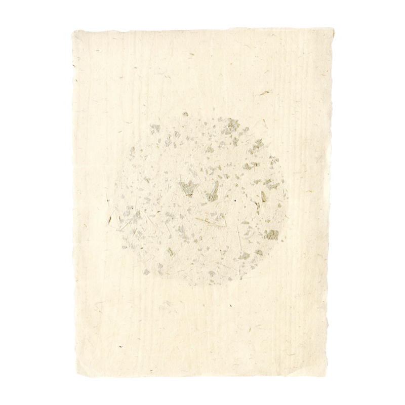 Taniai Marumado Chiri