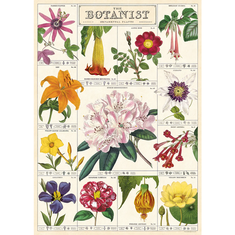 The Botanist Poster Wrap