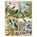 World of Birds Puzzle, 1000pc