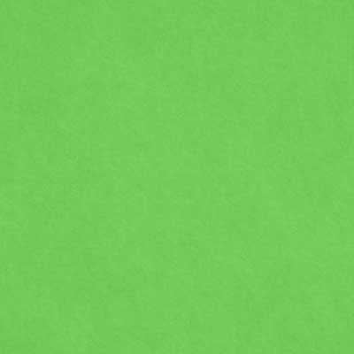 Clover - Cardstock