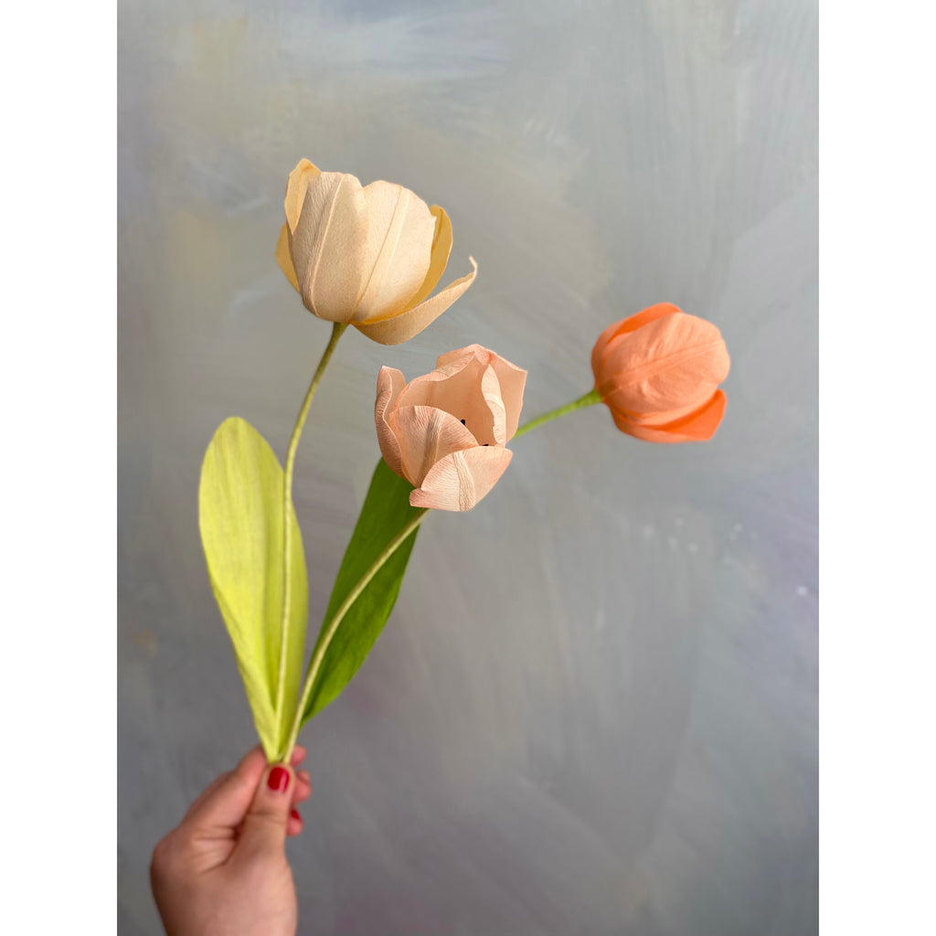 Crepe Paper Spring Tulip Workshop with Jessie Chui