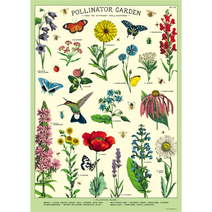 Pollinators Poster Wrap