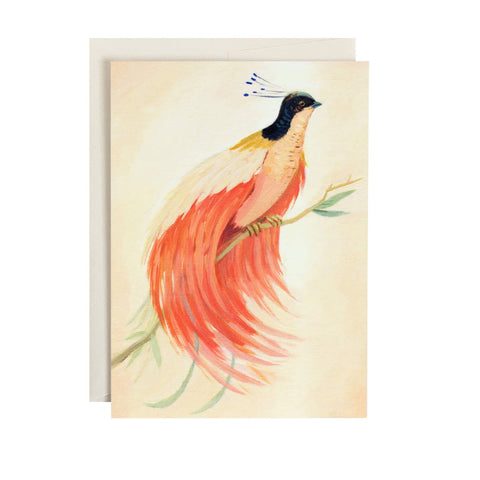 Bird Of Paradise Single Card