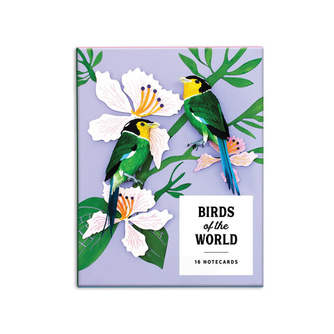 Birds of The Word Boxed Cards