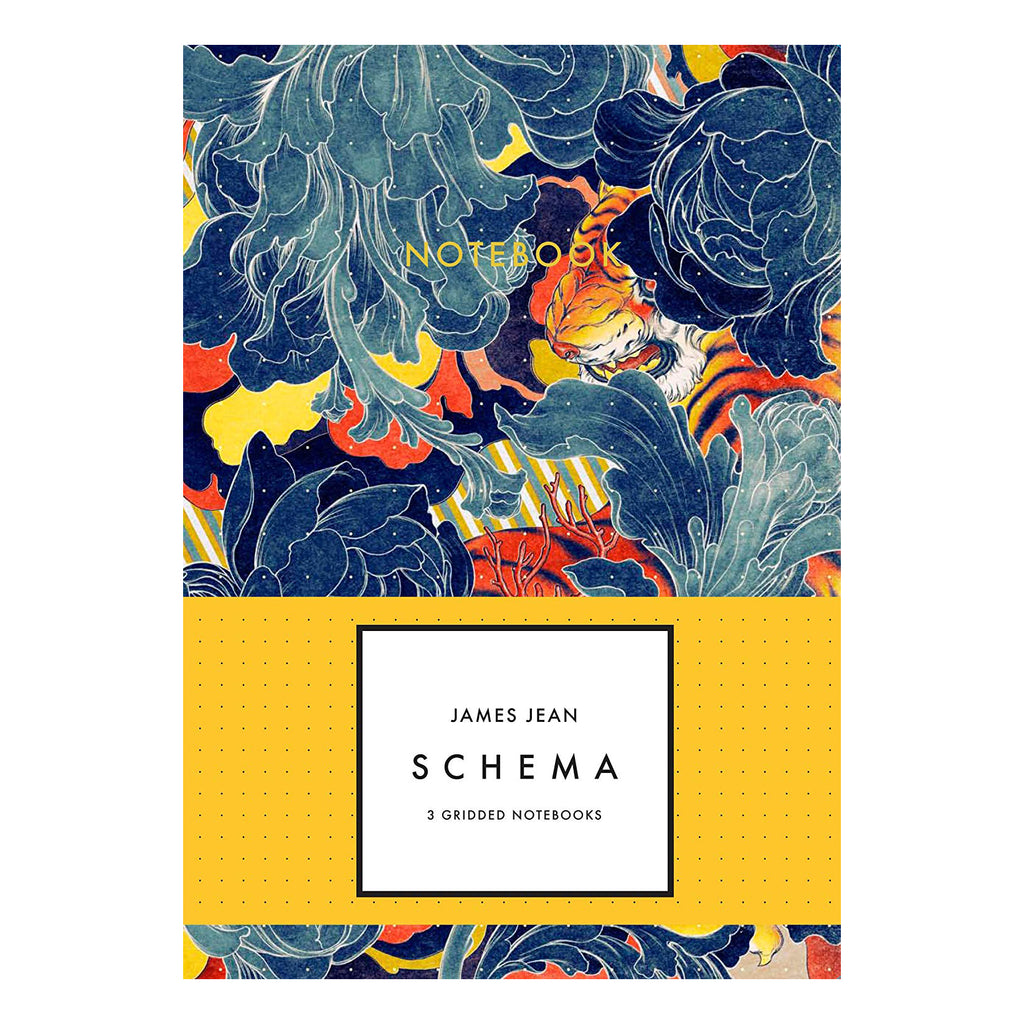 James Jean: Schema Notebook Set