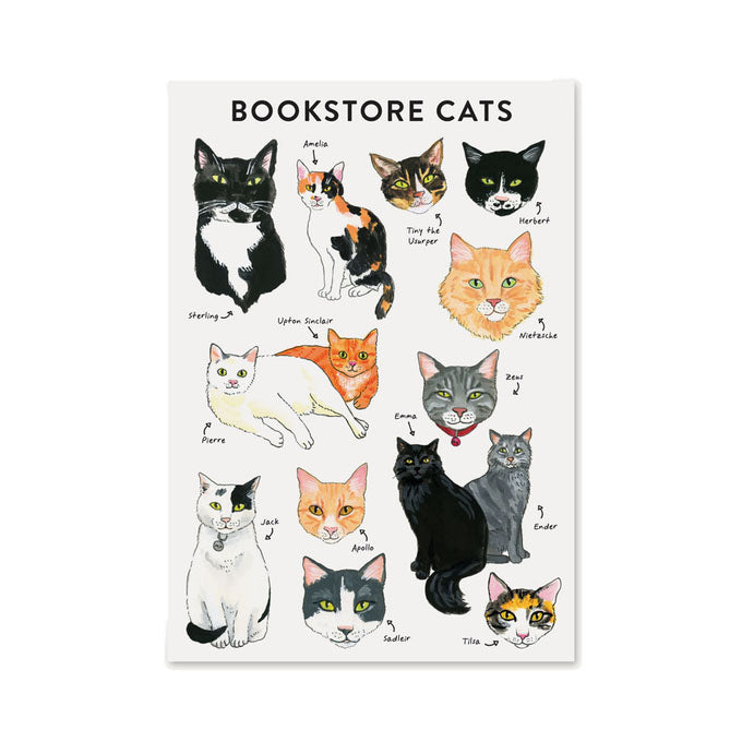 Bibliophile Journal: Bookstore Cats